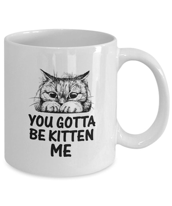 You've gotta be kitten me White Ceramic Mug | gotta be kitten me cute cat mug gifts for cat owners | White Coffee Mug animal lover gift
